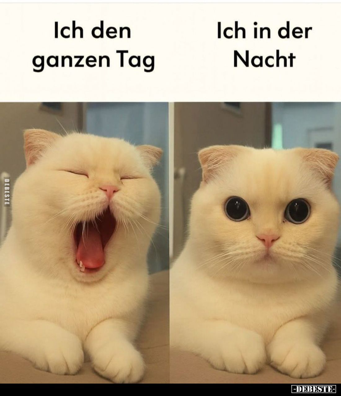 Ich den ganzen Tag
-
Ich in der Nacht