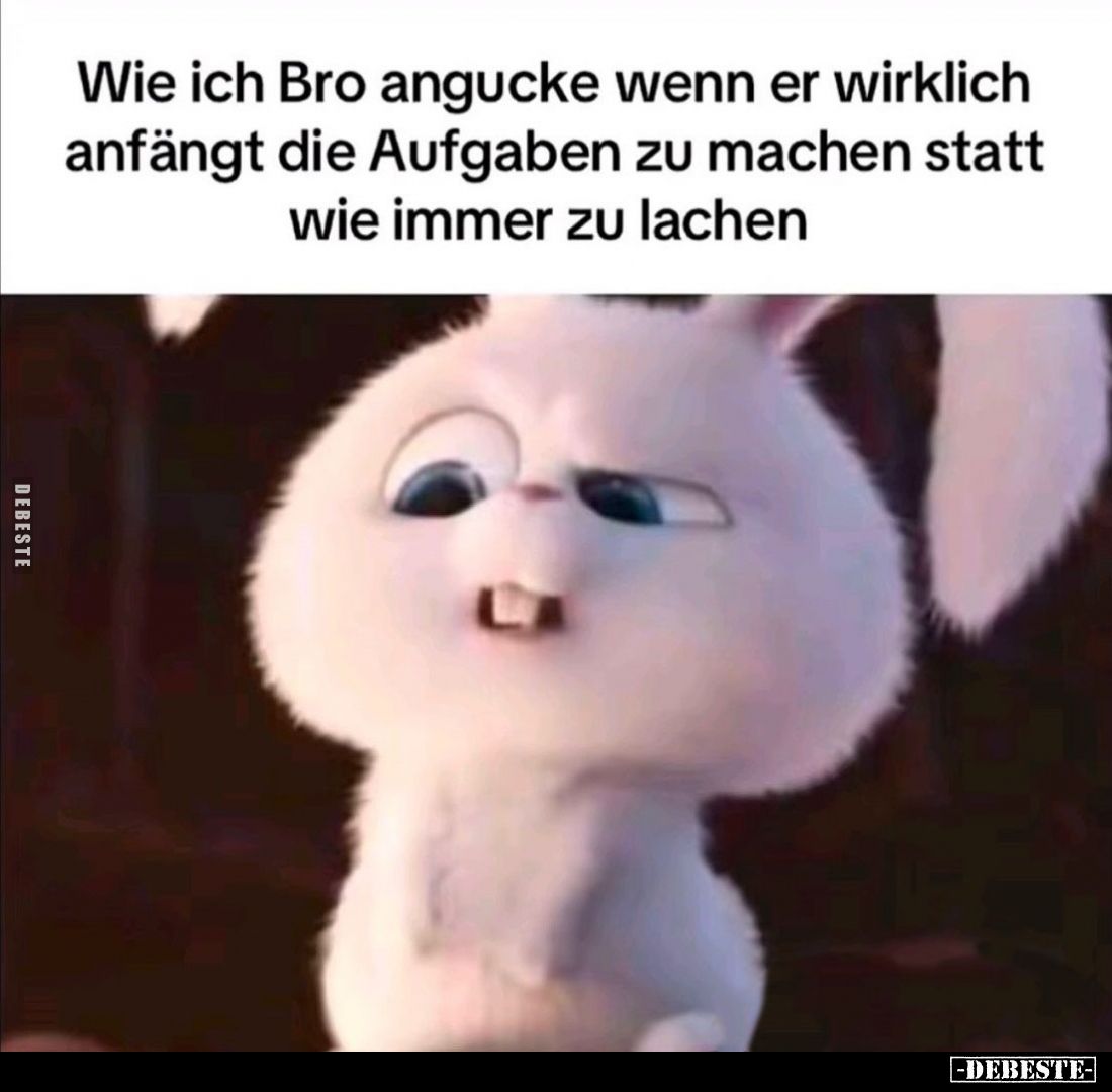 Wie ich Bro angucke wenn er wirklich anfängt die Aufgaben zu machen statt wie immer zu lachen