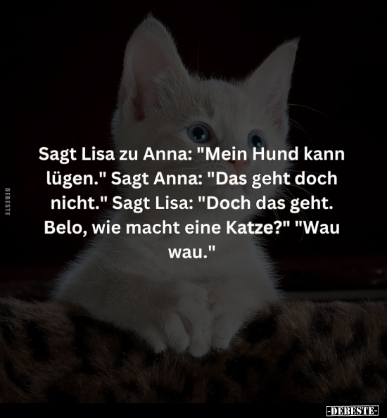 Lisa, Anna, Hund, Geht Doch, Doch