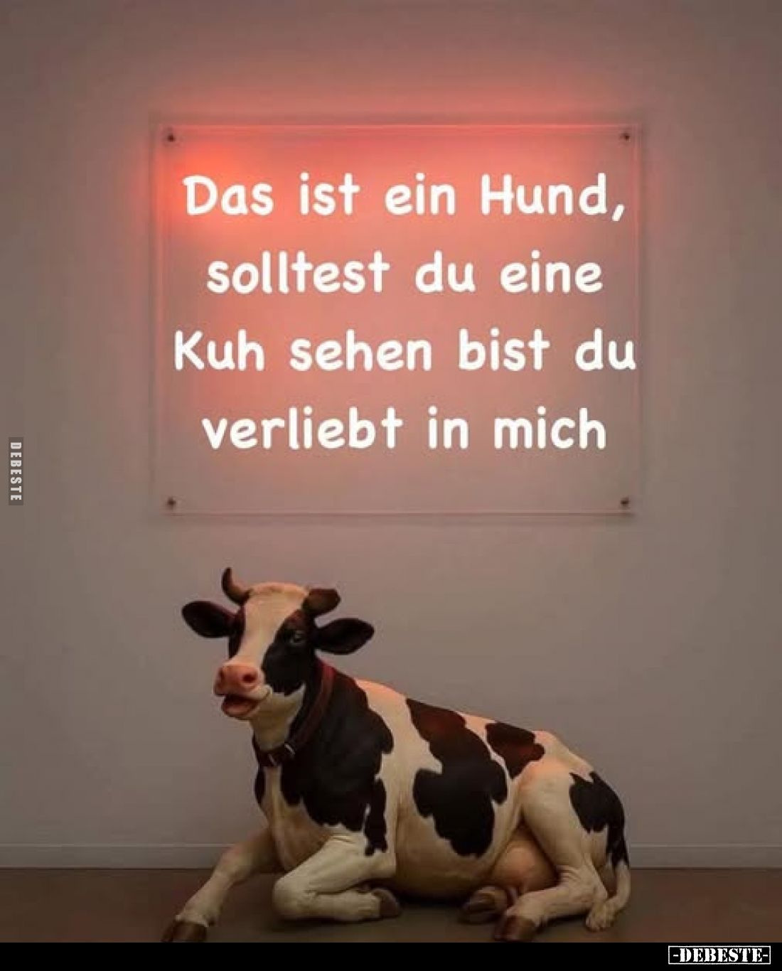 Das ist ein Hund, solltest du eine Kuh sehen bist du verliebt in mich