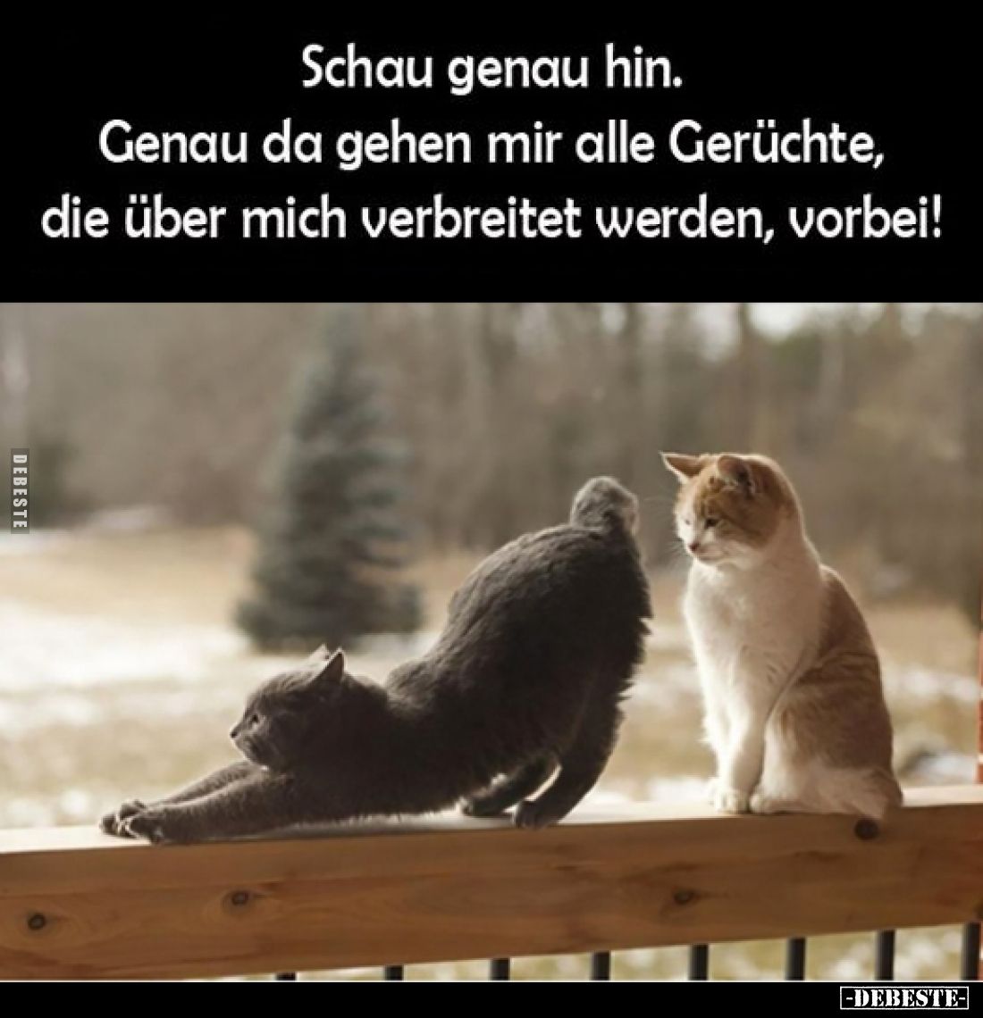 Schau genau hin. Genau da gehen mir alle Gerüchte, die über mich verbreitet werden, vorbei!