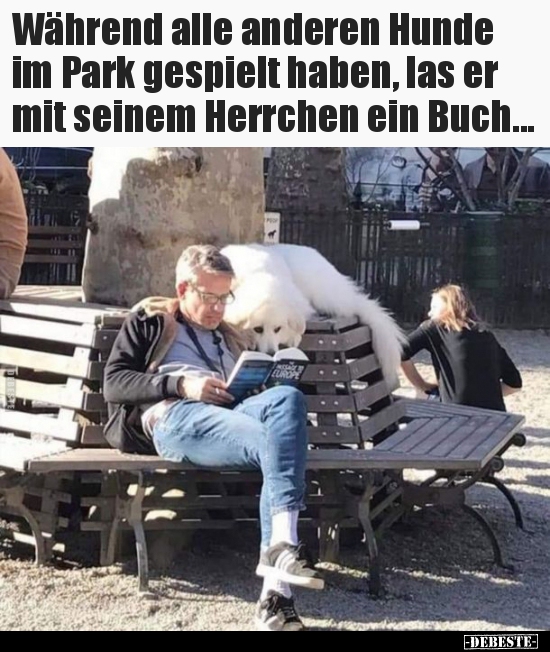 Während alle anderen Hunde im Park gespielt haben, las er.. - Lustige Bilder | DEBESTE.de