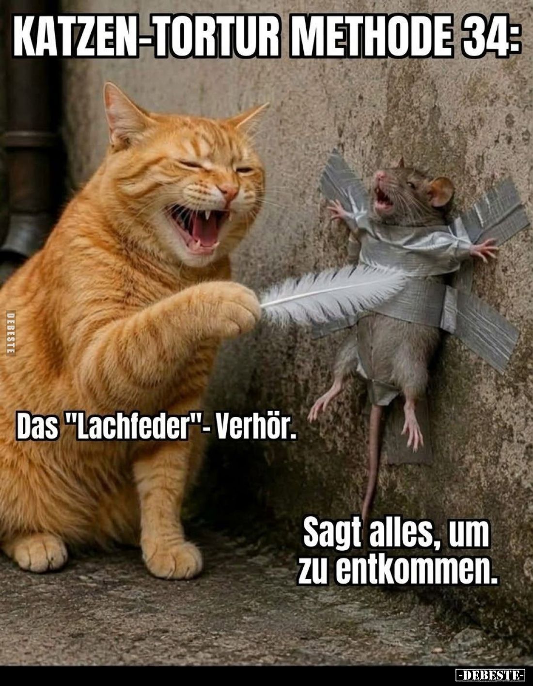 Katzen-Tortur Methode 34:

Das "Lachfeder"-Verhör.

Sagt alles, um zu entkommen.