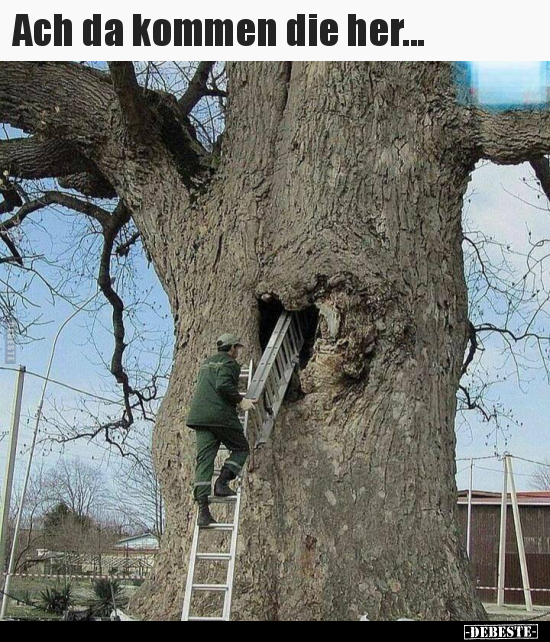 Ach da kommen die her...