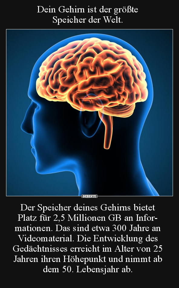 Dein Gehirn ist der größte Speicher der Welt... - Lustige Bilder | DEBESTE.de