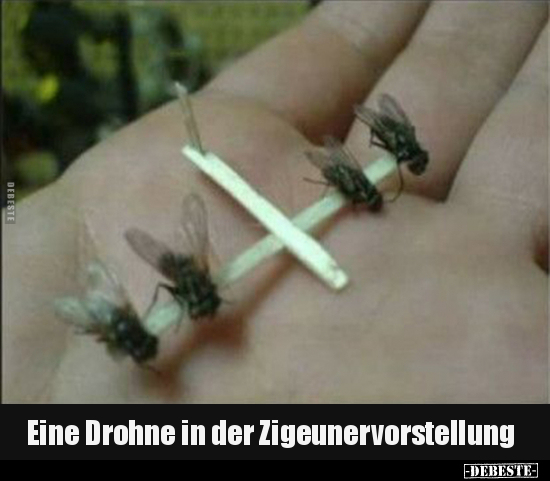 Eine Drohne in der Zigeunervorstellung.. - Lustige Bilder | DEBESTE.de