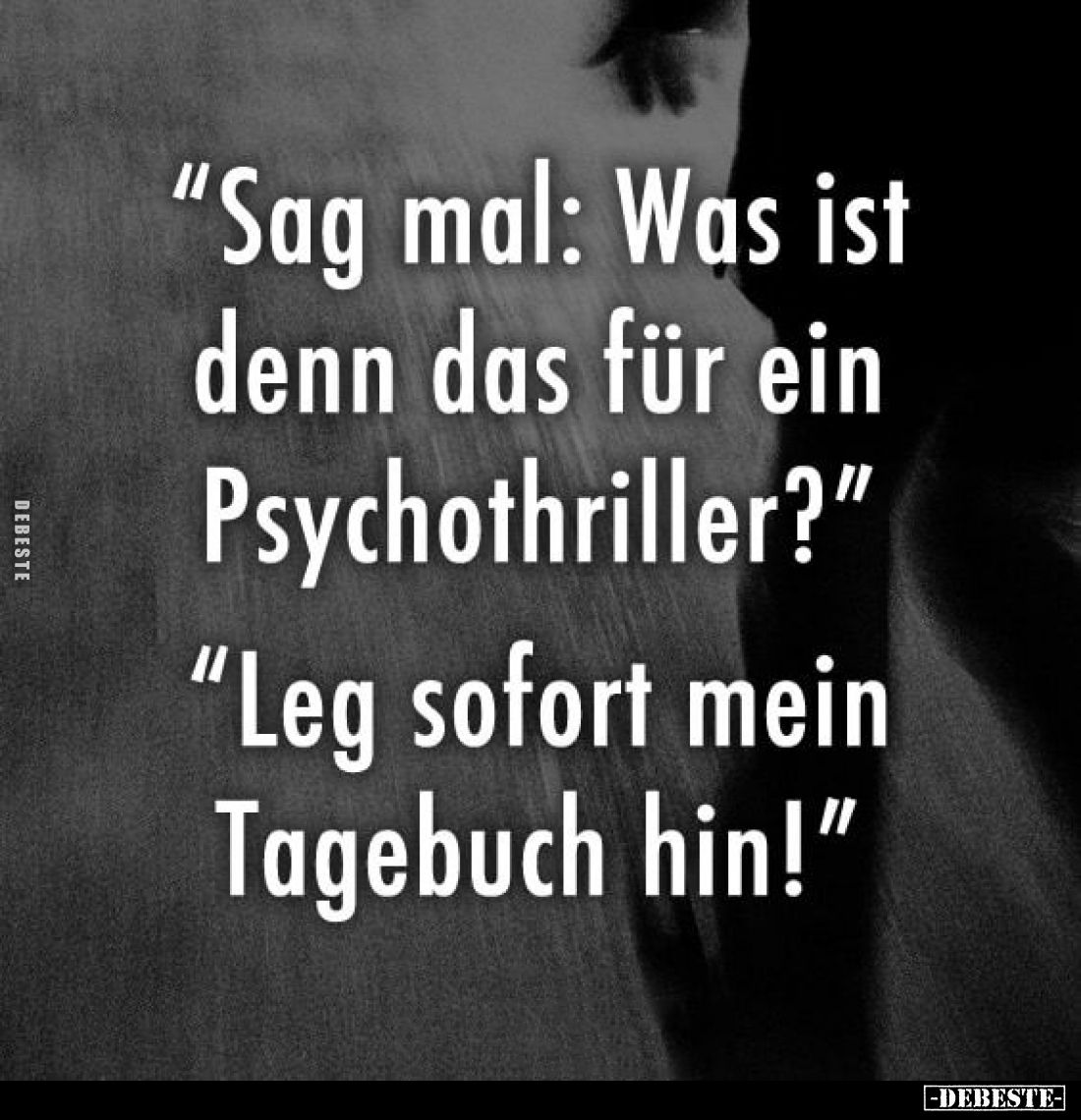 "Sag mal: Was ist denn das für ein
Psychothriller?" -
"Leg sofort mein Tagebuch hin!"