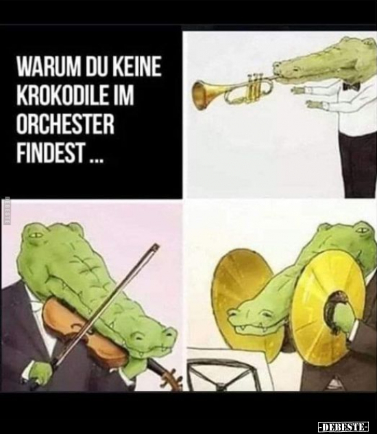 Warum du keine Krokodile im Orchester findest... - Lustige Bilder | DEBESTE.de