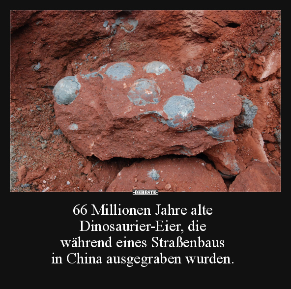 66 Millionen Jahre alte Dinosaurier-Eier, die.. - Lustige Bilder | DEBESTE.de