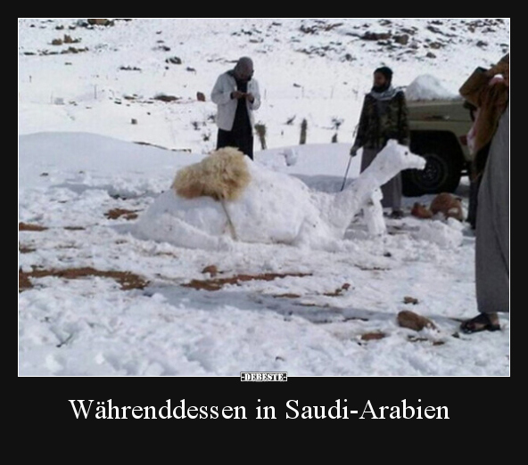 Währenddessen in Saudi-Arabien.. - Lustige Bilder | DEBESTE.de