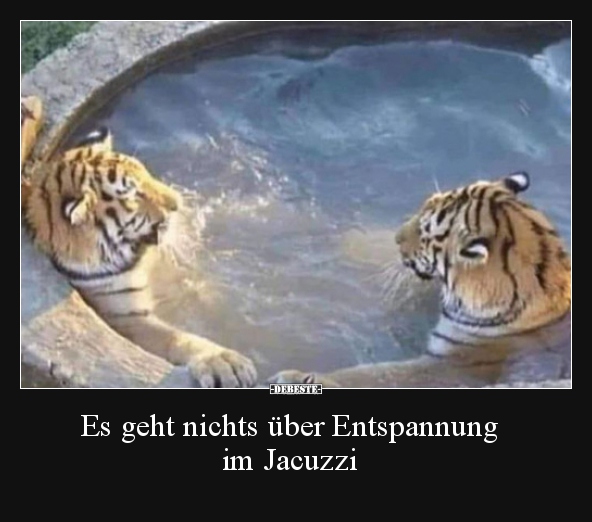 Es geht nichts über Entspannung im Jacuzzi.. - Lustige Bilder | DEBESTE.de