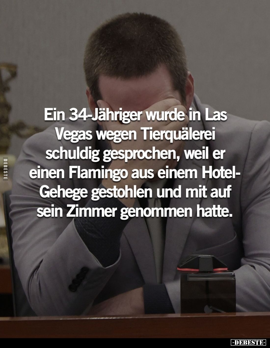 Ein 34-Jähriger wurde in Las Vegas wegen Tierquälerei schuldig gesprochen, weil er einen Flamingo aus einem Hotel-Gehege gest...