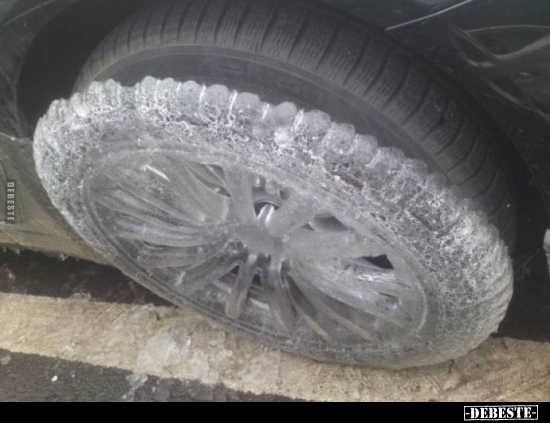  - Lustige Bilder | DEBESTE.de