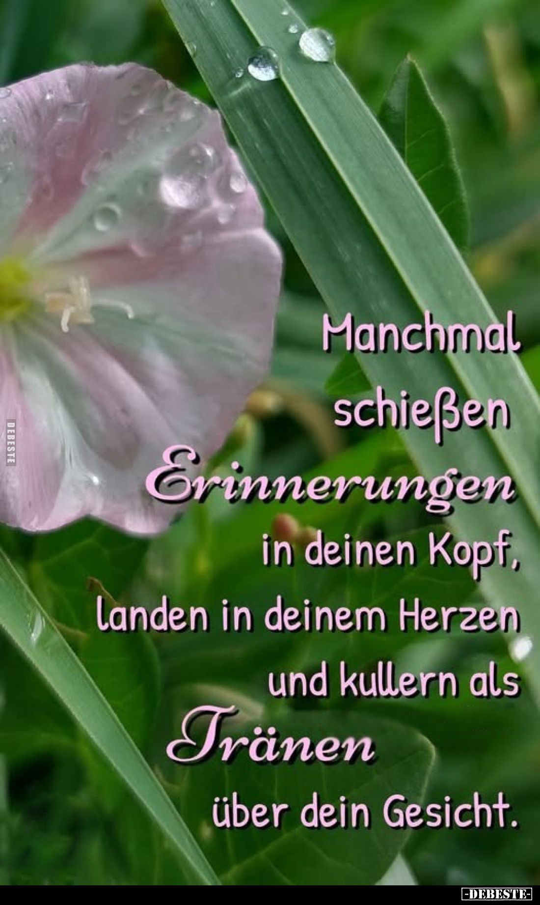 Manchmal schießen Erinnerungen in deinen Kopf, landen in deinem Herzen und kullern als Tränen über dein Gesicht.