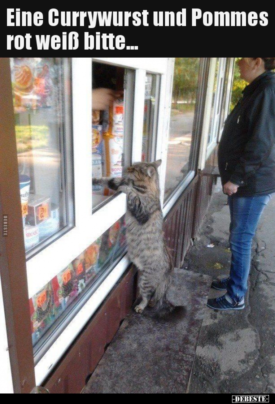 Eine Currywurst und Pommes rot weiß bitte...