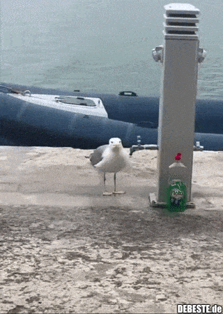  - Lustige Bilder | DEBESTE.de