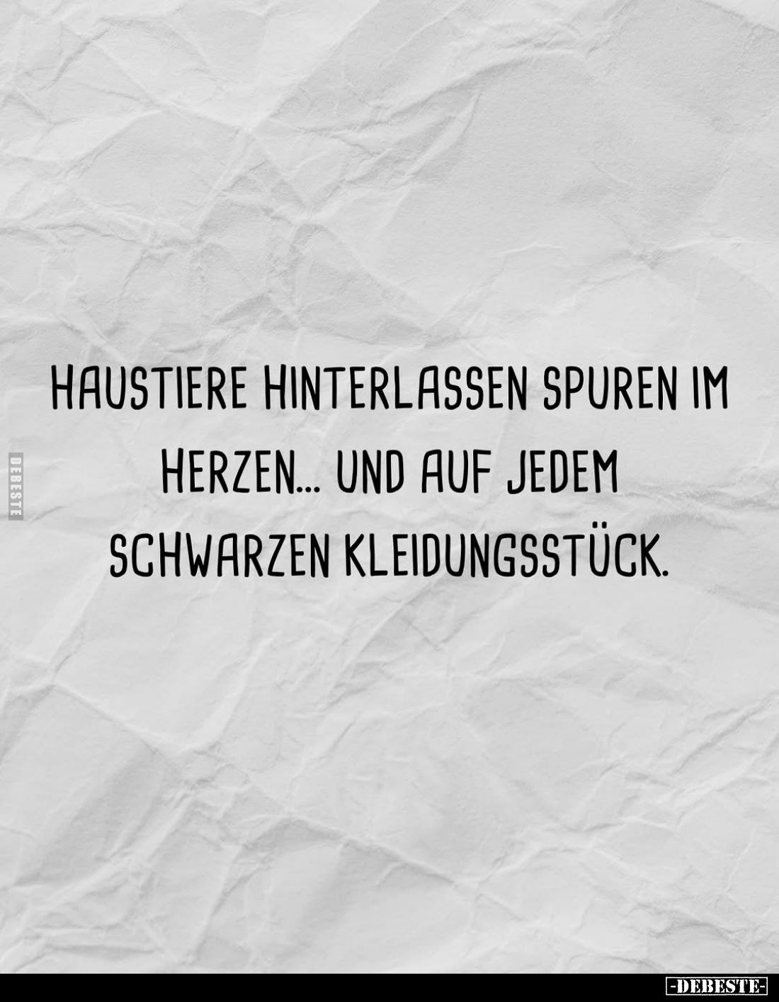 Haustiere hinterlassen Spuren im Herzen... und auf jedem schwarzen Kleidungsstück.