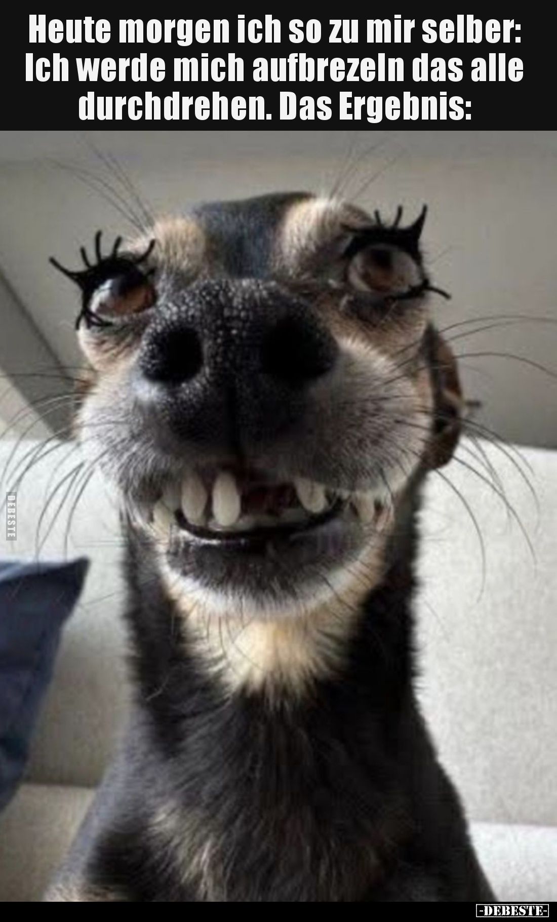 Heute morgen ich so zu mir selber: Ich werde mich aufbrezeln das alle durchdrehen. Das Ergebnis: