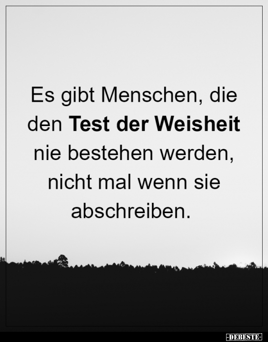 Es gibt Menschen, die den Test der Weisheit nie.. - Lustige Bilder | DEBESTE.de