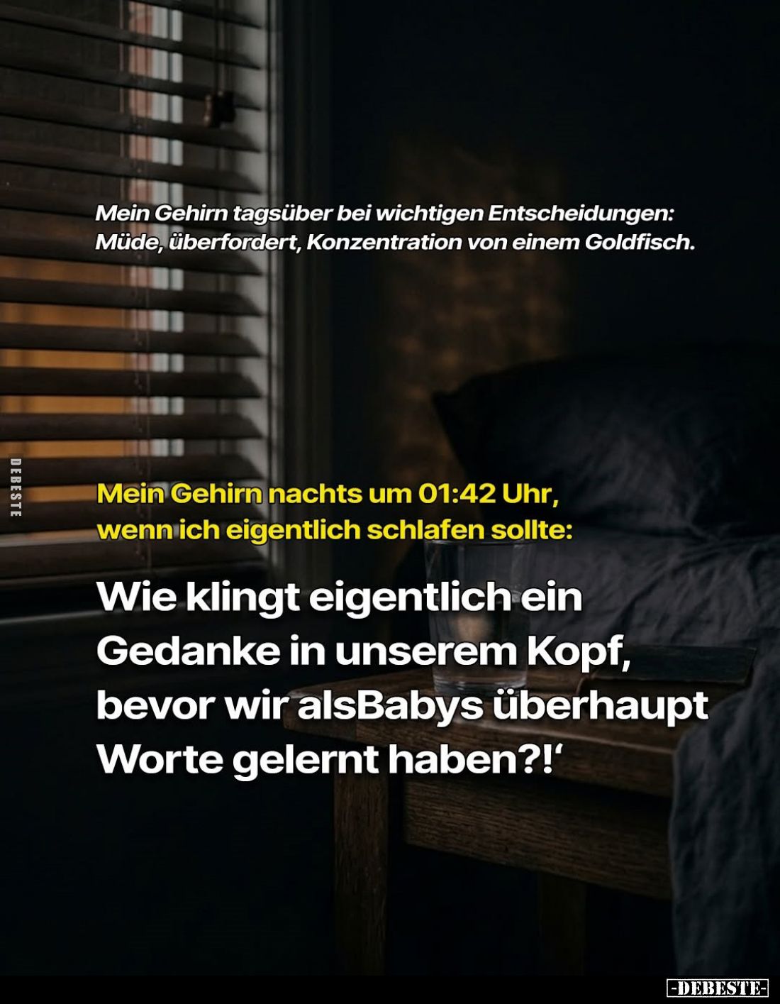 Mein Gehirn tagsüber bei wichtigen Entscheidungen: Müde, überfordert, Konzentration von einem Goldfisch. -
Mein Gehirn nacht...