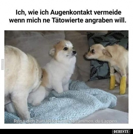 Ich, wie ich Augenkontakt vermeide.. - Lustige Bilder | DEBESTE.de