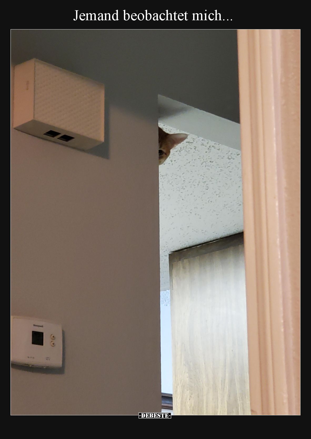 Jemand beobachtet mich.