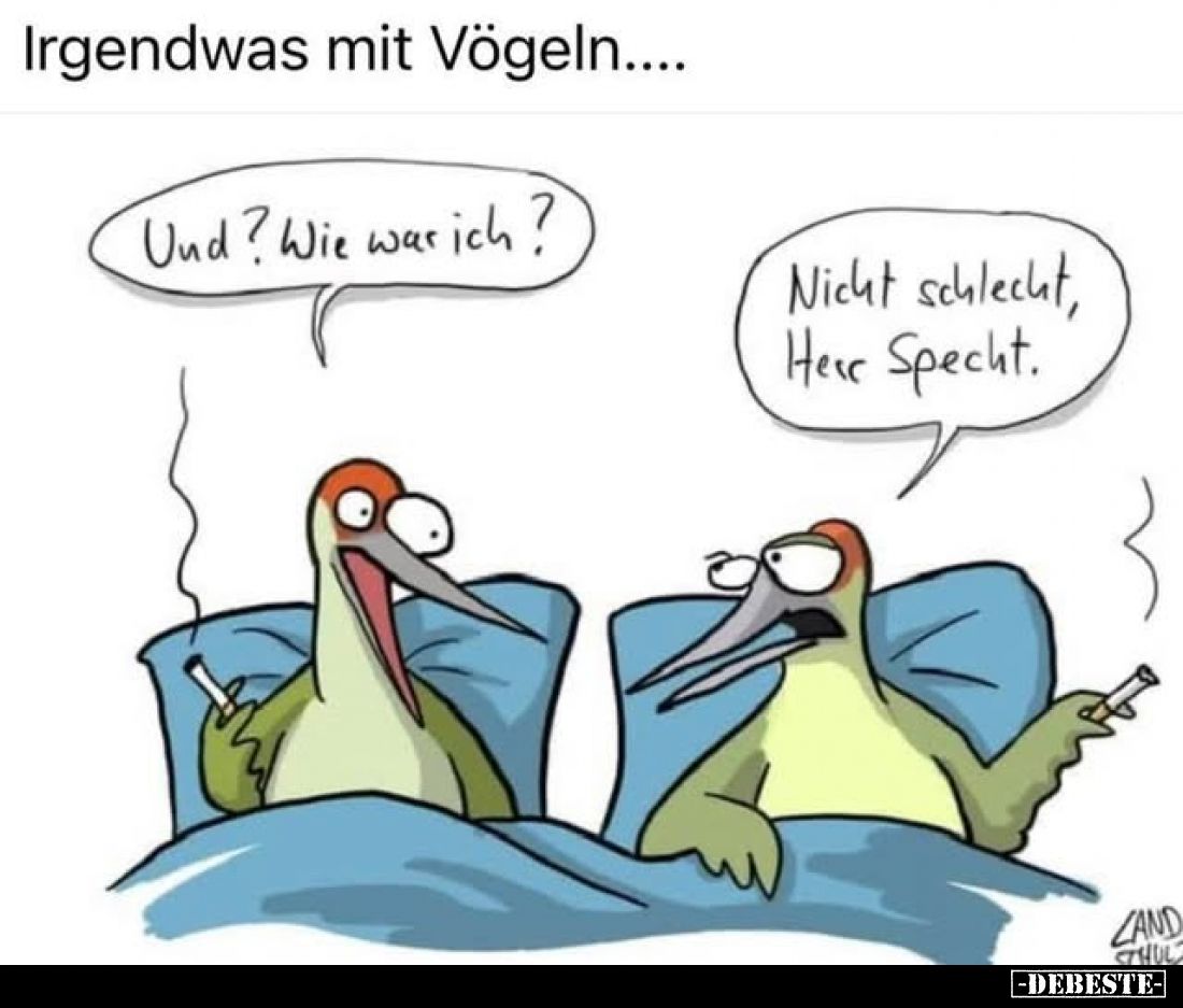 Irgendwas mit Vögeln....
-
Und? Wie war ich?
-
Nicht schlecht, Herr Specht.