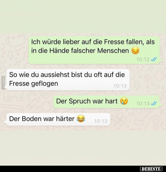 Ich würde lieber auf die Fresse fallen, als in die Hände.. - Lustige Bilder | DEBESTE.de