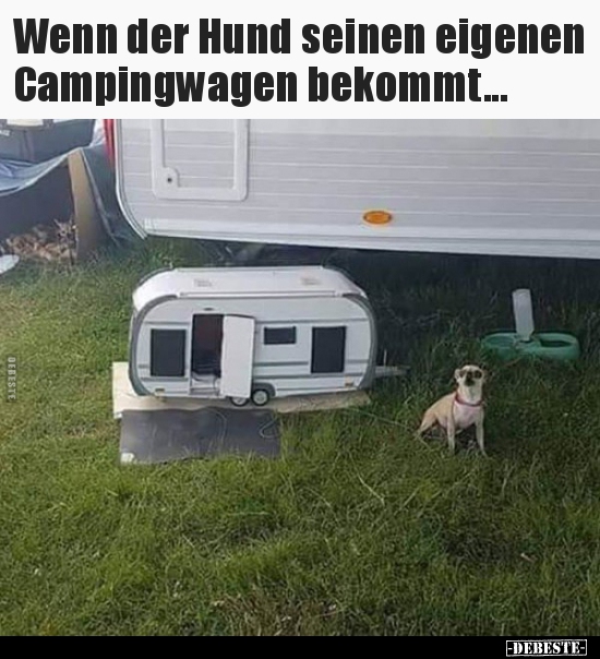 Wenn der Hund seinen eigenen Campingwagen bekommt... - Lustige Bilder | DEBESTE.de