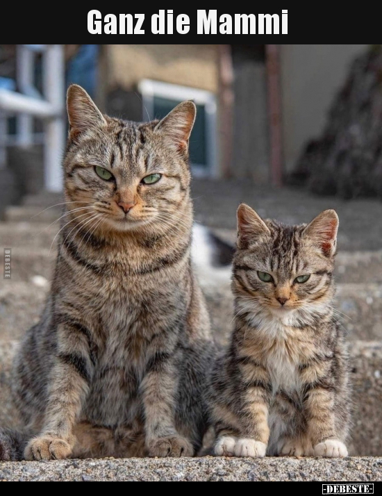 Ganz die Mammi.. - Lustige Bilder | DEBESTE.de