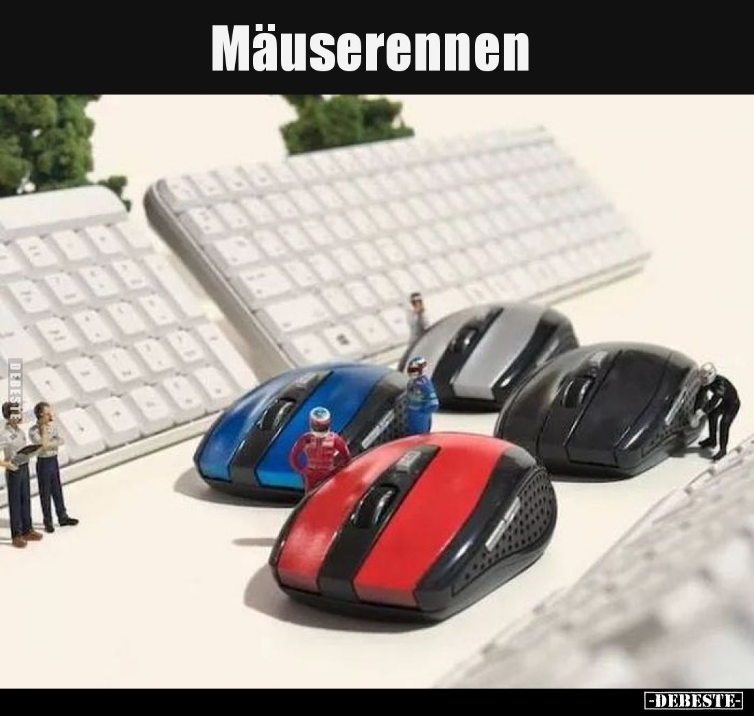 Mäuserennen