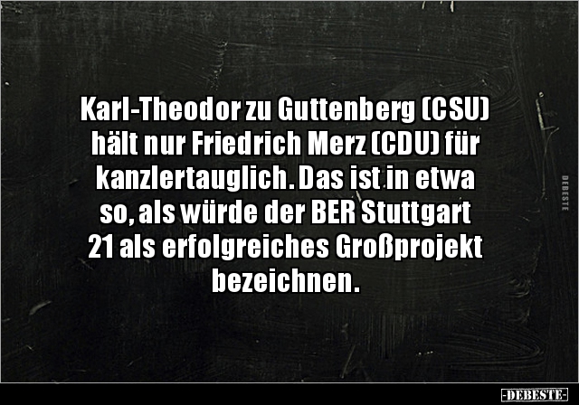 Karl-Theodor zu Guttenberg (CSU) hält nur Friedrich Merz.. - Lustige Bilder | DEBESTE.de