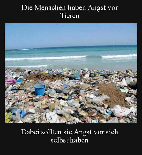 Die Menschen haben Angst vor Tieren.. - Lustige Bilder | DEBESTE.de