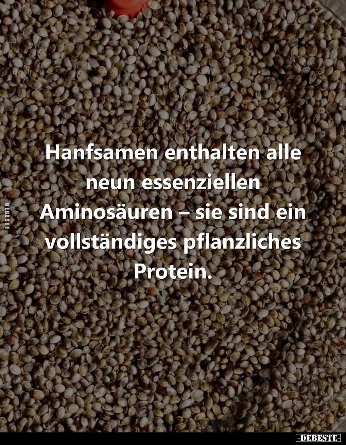 Hanfsamen enthalten alle neun essenziellen Aminosäuren - sie sind ein vollständiges pflanzliches Protein.