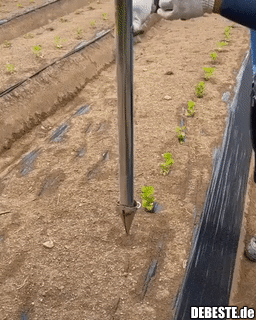 Hilfe beim Anpflanzen..