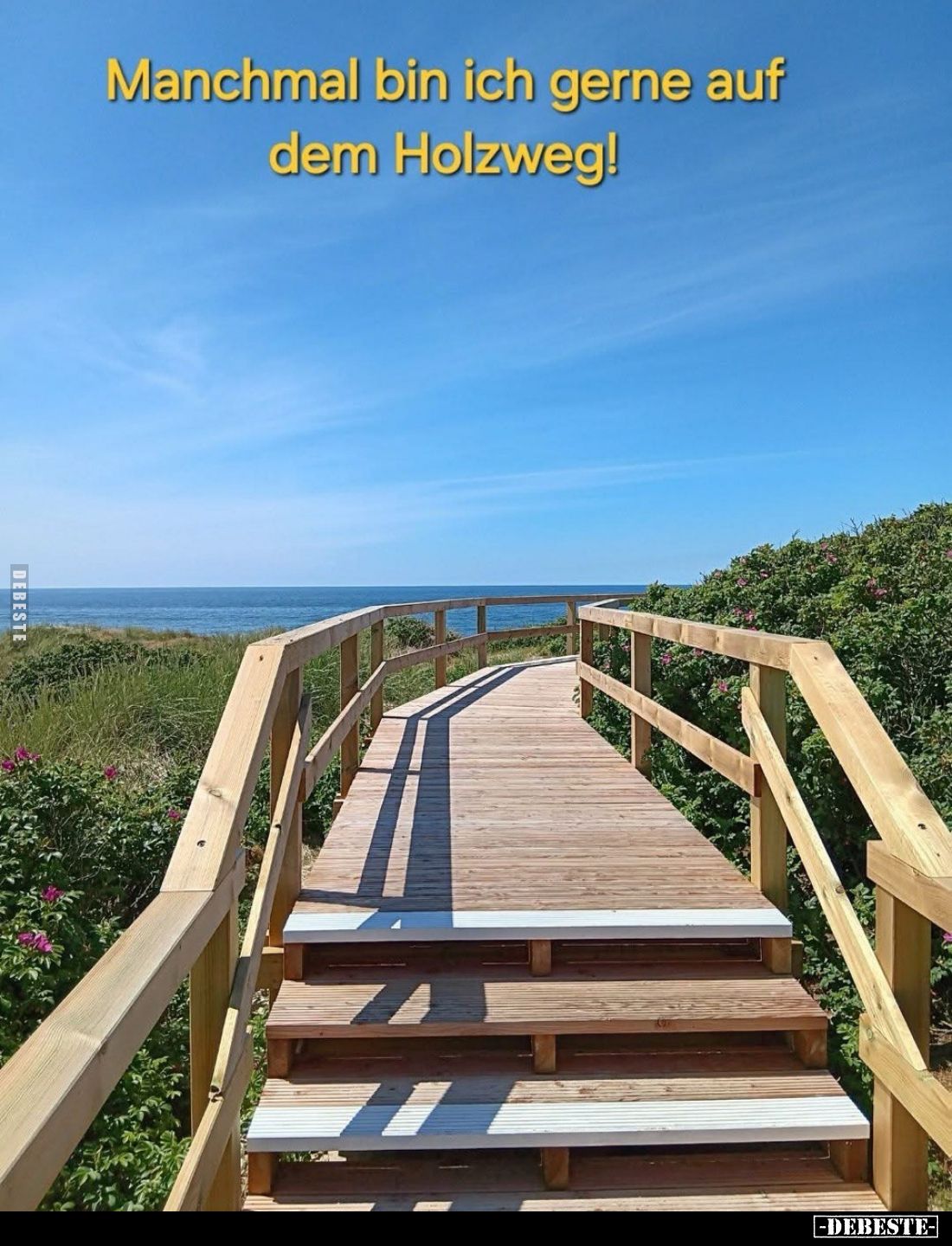 Manchmal bin ich gerne auf dem Holzweg!