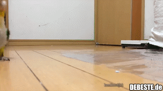 :] - Lustige Bilder | DEBESTE.de