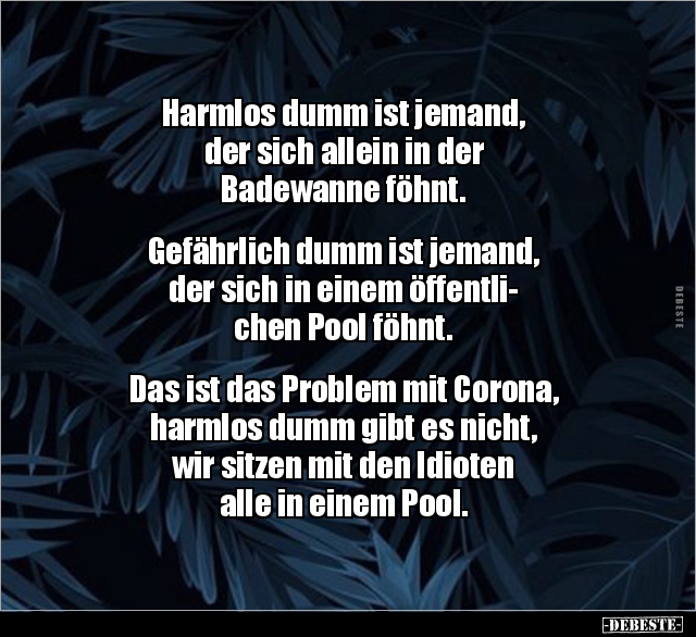 Harmlos dumm ist jemand, der sich allein in der.. - Lustige Bilder | DEBESTE.de