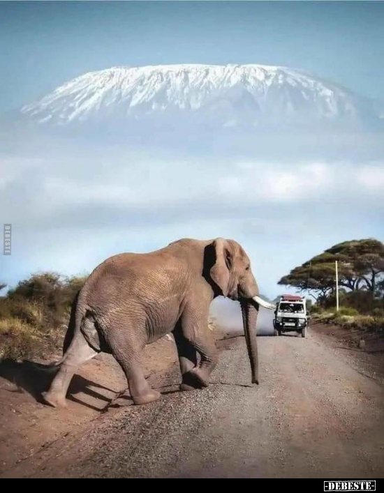  - Lustige Bilder | DEBESTE.de