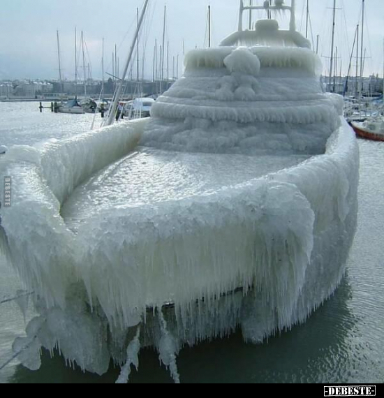  - Lustige Bilder | DEBESTE.de