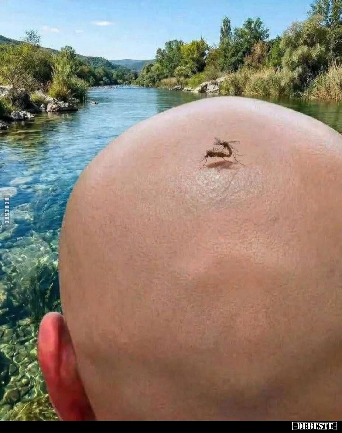  - Lustige Bilder | DEBESTE.de