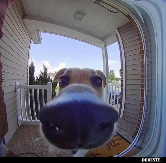  - Lustige Bilder | DEBESTE.de