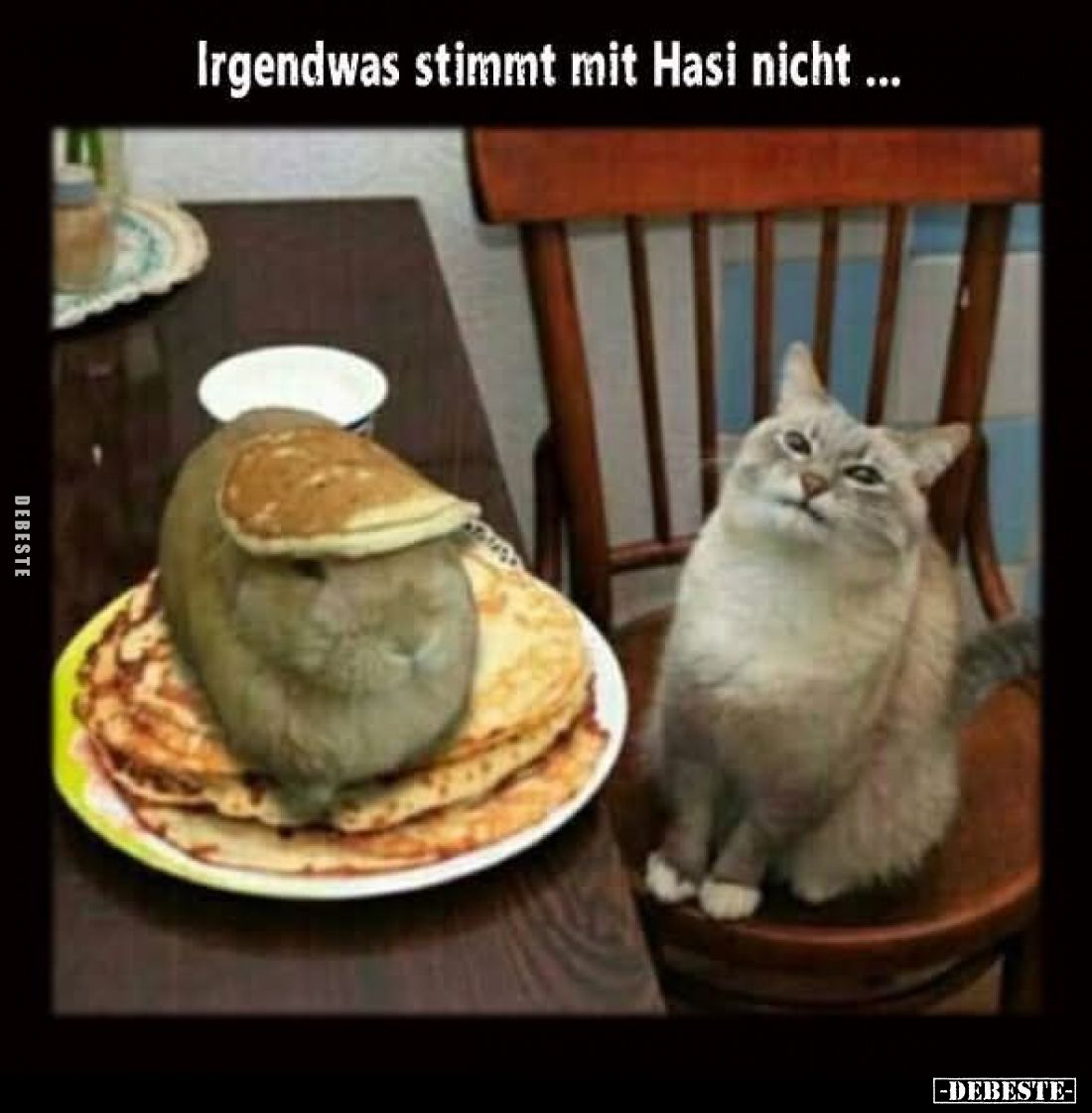 Irgendwas stimmt mit Hasi nicht... - Lustige Bilder | DEBESTE.de