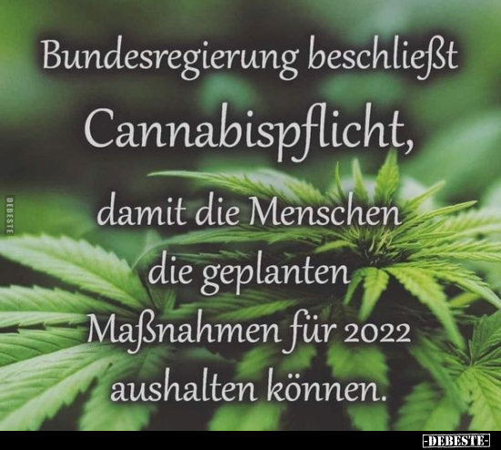 Bundesregierung beschließt Cannabispflicht, damit die.. - Lustige Bilder | DEBESTE.de
