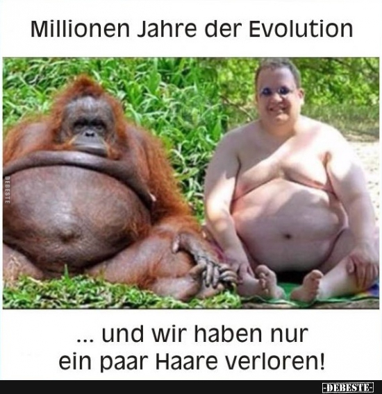 Millionen Jahre der Evolution und.. - Lustige Bilder | DEBESTE.de