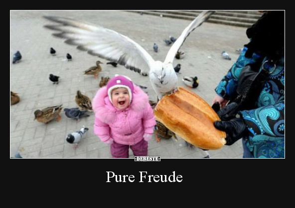 Pure Freude..
