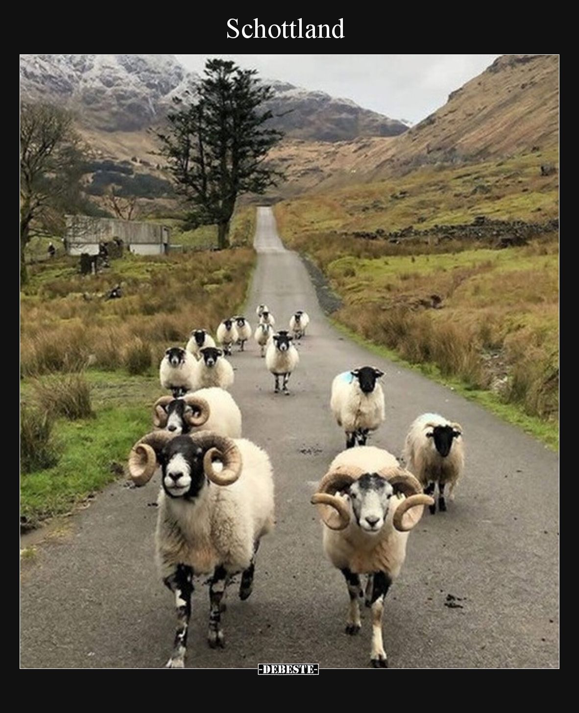 Schottland.. - Lustige Bilder | DEBESTE.de