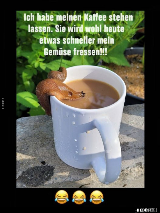 Ich habe meinen Kaffee stehen lassen.. - Lustige Bilder | DEBESTE.de