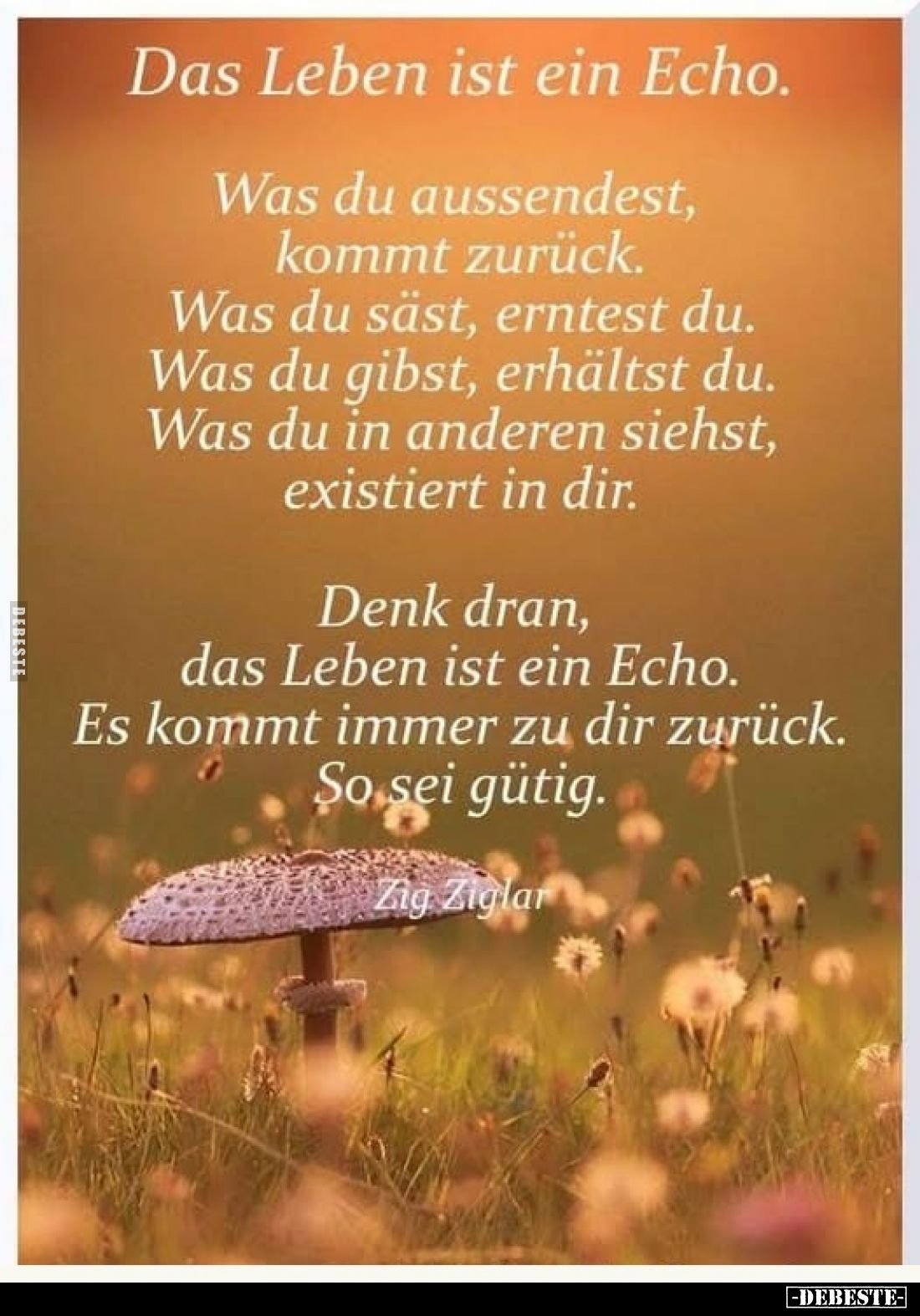 Das Leben ist ein Echo.
Was du aussendest, kommt zurück. Was du säst, erntest du. Was du gibst, erhältst du. Was du in ander...