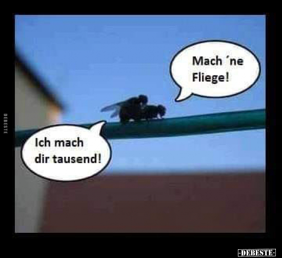 Mach 'ne Fliege! Ich mach dir tausend!.. - Lustige Bilder | DEBESTE.de